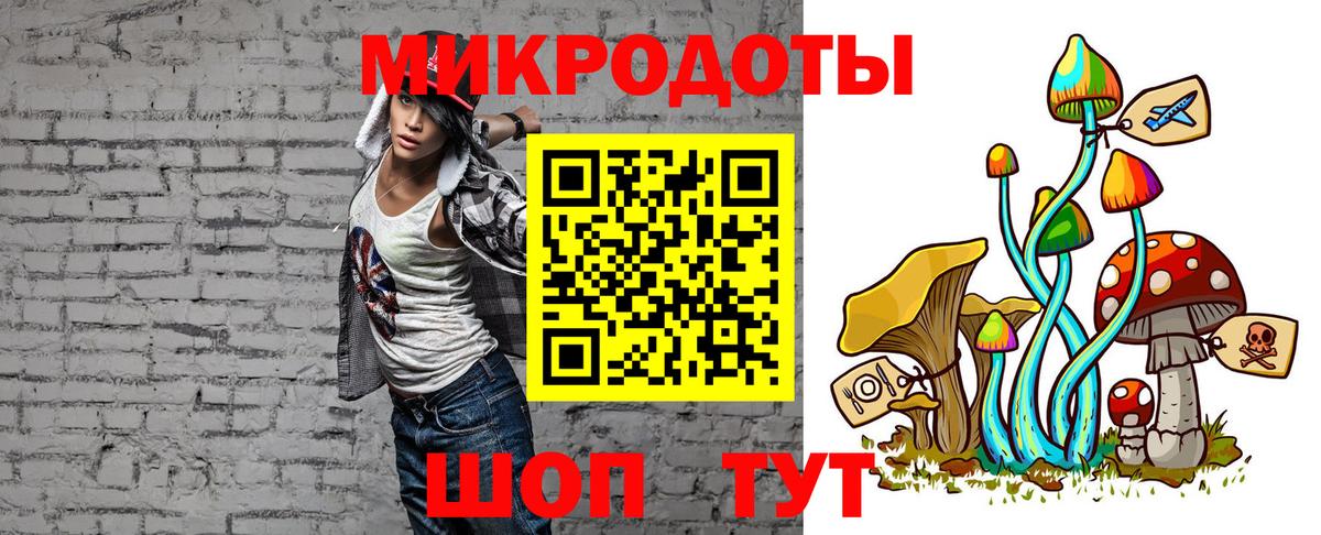Галлюциногенные грибы Magic Shrooms  где купить наркоту  Татарск  Вход с VPN 