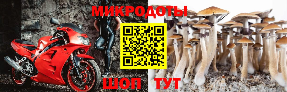 Псилоцибиновые грибы GOLDEN TEACHER Татарск